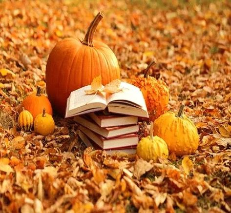 Alice Martin, Zero Wallpaper, Fall Reading, Fallen Book, Halloween Books, Very Scary, Indie Author, Stack Of Books, Nature Backgrounds