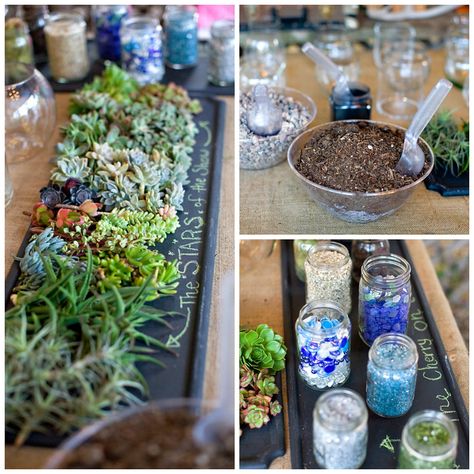 Succulent Terrarium Bar Terrarium Bar Ideas, Build Your Own Succulent Bar, Succulent Bar Diy, Succulent Bar Party, Terrarium Party, Terrarium Bar, Succulent Bar, Plant Bar, Terraria Party