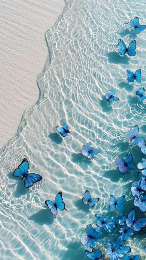 Free download of high-quality iPhone wallpapers dreamy beauty of nature – Bujo Art Shop Beautiful Summer Wallpaper, Whatsapp Wallpaper Cute, Cute Summer Wallpapers, Cute Blue Wallpaper, Beautiful Ocean Pictures, Pretty Phone Wallpaper, Tapeta Galaxie, Blue Butterflies, Whatsapp Wallpaper