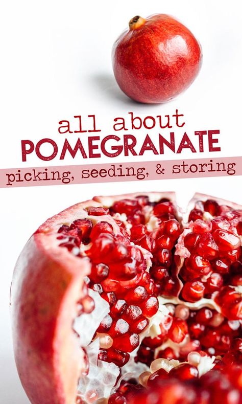 How To Store Pomegranate, Pomegranate Tree, Pomegranate Recipes, Eating Better, Pomegranate Fruit, Vegetable Storage, Food Fruit, Food Group, Seasonal Food