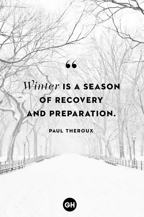 winter quotes Cute Winter Quotes, Renewal Quotes, Welcome Winter, Winter Quotes, Cozy Season, Winter Aesthetic, Instagram Captions, Quote Aesthetic, The Start