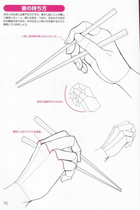 Chopstick Hand Reference, Hands Holding Chopsticks Reference, Chopstick Reference, Holding Chopsticks Drawing, Hand Holding Chopsticks Drawing, Hand Holding Chopsticks Reference, Chopsticks Reference, Holding Chopsticks Reference, Cooking Poses Drawing