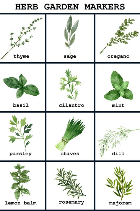 set of herb markers for your garden Garden Labels Plant Markers Printable, Herb Prints Free Printable, Herb Labels Printable Free, Garden Labels Diy, Veg Growing, Basil Garden, Vegetable Garden Markers, Herb Garden Markers, Garden Business