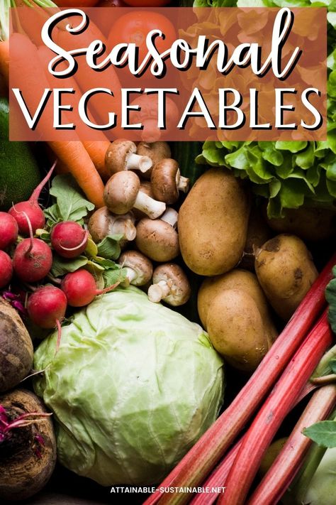 Vegetables in Season - What's Ripe When Growing Roma Tomatoes, Vegetables In Season, Growing Leeks, Growing Okra, Attainable Sustainable, Growing Radishes, Growing Green Beans, Making Sauerkraut, Fried Artichoke