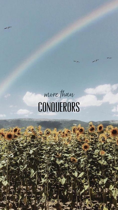 More Than Conquerors Wallpaper, More Than Conquerors, Wallpaper Quotes, Quotes, Movie Posters, Quick Saves, Film Posters