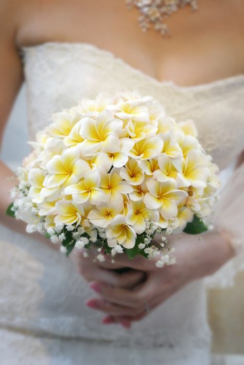 Frangipani Flower Bridal Bouquet Plumeria Bridal Bouquet, Plumeria Flower Bouquet, Plumeria Wedding Decorations, Frangipani Wedding Decorations, Frangipani Wedding Bouquet, Plumeria Bouquet Wedding, Fiori Frangipani, Plumeria Wedding, Frangipani Wedding