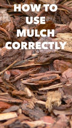 Garden Mulch, Types Of Mulch, Mulch Landscaping, Pergola Pictures, Making Plant Pots, Garden Shrubs, Wood Chips, Diy Landscaping, Pool Landscaping