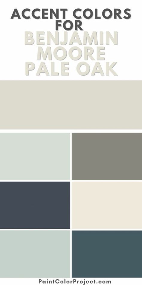 The best accent colors to pair with Benjamin Moore Pale Oak paint color Pale Oak Colour Palette, Colors With Pale Oak, Pale Oak With White Dove Trim, Living Room Paint Color Ideas With Oak Trim, Bm Pale Oak Kitchen, Pale Oak Benjamin Moore Coordinating Colors, Pale Oak Palette, Colors That Go With Pale Oak, Benjamin Moore Accent Wall Colors