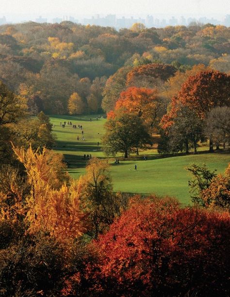 Prospeck park in Fall is beyond beatiful..-with Alexander Visocki... Flatbush Brooklyn, Prospect Park Brooklyn, Park Slope Brooklyn, Places In New York, Park Slope, Prospect Park, My Kind Of Town, Old Churches, Nyc Trip