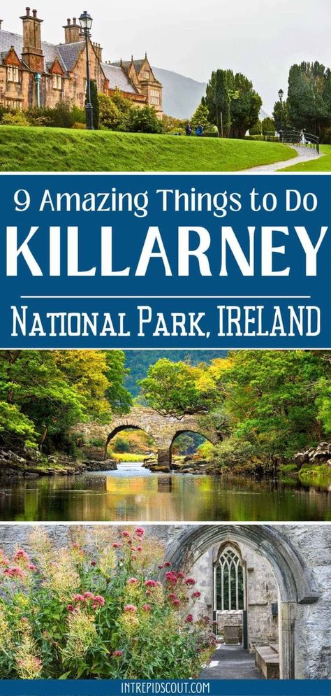 Things to Do in Killarney National Park Killarney National Park, Killarney Ireland, Car Tour, National Parks Map, Ireland Vacation, Killarney, Couple Getaway, Group Travel, Solo Female Travel