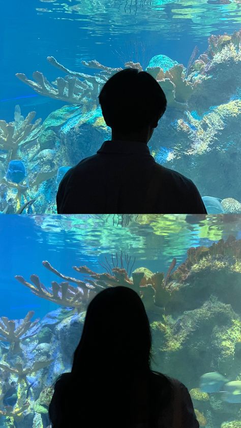 Aquarium Matching Pfp, Ulzzang Couple Wallpaper, Matching Pictures Aesthetic, Pp Couple Love, Couple Aquarium Pictures, Copel Photos, Aquarium Couple Photos, Pp Ig Couple, Couple Dp Ideas