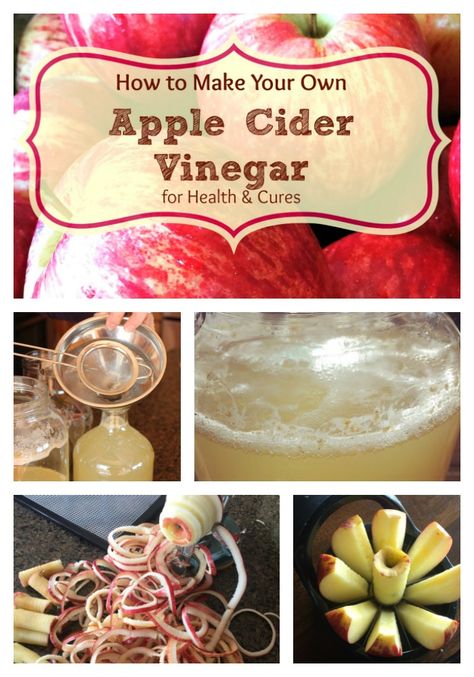 How to Make Your Own Raw Apple Cider Vinegar (Delicious & Healthy!) from Scraps! — All Posts Healing Harvest Homestead Apple Scraps, Apple Cider Vinegar Remedies, Cider Vinegar Benefits, Apple Cider Vinegar Benefits, Raw Apple Cider Vinegar, Apple Cider Vinegar Drink, Apple Cider Benefits, Organic Apple Cider, Organic Apple Cider Vinegar