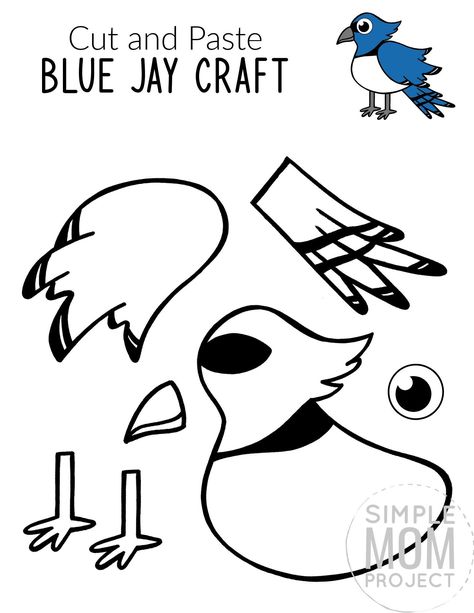 Here’s a cute & free printable Blue Jay Craft for your kids. As one of the most beautiful birds in the garden, this Blue Jay craft makes a simple cut & paste art project for toddlers, preschoolers or kindergartners. Want to add some fun to homeschooling? This diy, paper Blue Jay craft is a colorful way for your kids to learn the letter J, while showing you how to make a gorgeous Blue Jay! Grab your fun & free printable Blue Jay craft today! #Bluejaycrafts #BlueJayprintable Blue Jay Craft, Bird Crafts For Kids, Dove Crafts, Eagle Craft, Simple Mom Project, Bird Puppet, Bird Craft, Bird Template, Art Activities For Toddlers