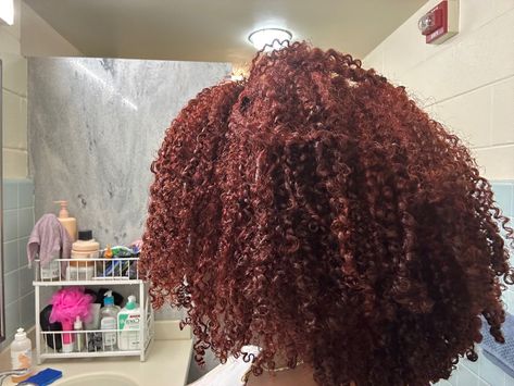 wash and go Hair Always Done, 4b Wash And Go, Dark Red Hair Black Women, Wash N Go Products, Wash And Go Products, Revenge Hair, Ginger Natural Hair, Red Natural Hair, Natural Hair Highlights