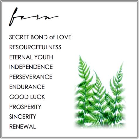 YO Eternal Green Days Fern Spiritual Meaning, Meaning Of Fern Tattoo, Plant Tattoo Meaning, Fern Tattoo Meaning, Green Fern Tattoo, Fern Quotes, Leaves Tattoo Meaning, Fern Symbolism, Fern Meaning