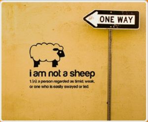 Sheep Sheep Quotes, Sheep Quote, Here Lies, Wall Art Stickers, A Sheep, Bettering Myself, Quote Wall, Art Stickers, Sticker Wall Art