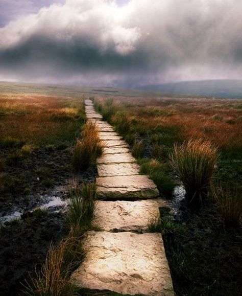 I'm On A Long, Narrow Path (Gidiyorum Gündüz Gece) David Burns, Narrow Road, Narrow Path, The Road Not Taken, Winding Road, Spiritual Inspiration, Stepping Stones, Beautiful Places, Nature Photography