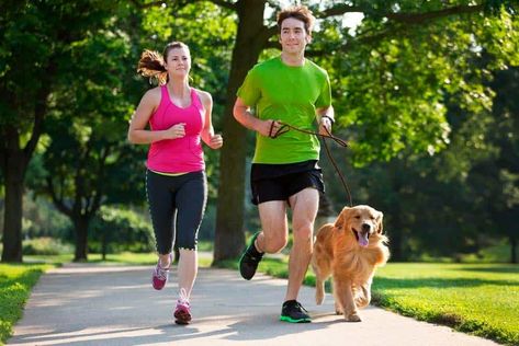 Golden Retriever Breed, Running Partner, Short Dog, Couple Running, A Golden Retriever, Gym Workout For Beginners, Animal Behavior, Dog Runs, Guess Who