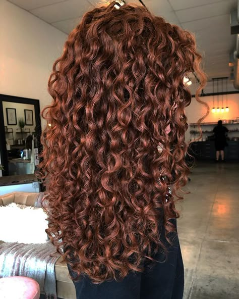 Dyed Curly Hair, Natural Curly Hair Cuts, Highlights Curly Hair, Red Curly Hair, Curly Hair Photos, Ginger Hair Color, Colored Curly Hair, Hair Color Auburn, Trendy Hairstyle