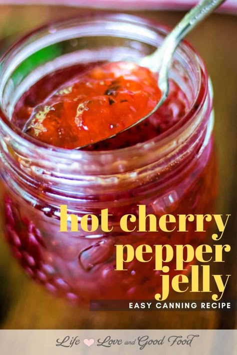 Cherry Pepper Jelly, Easy Cream Cheese Appetizers, Cream Cheese Appetizers, Cherry Pepper Recipes, Jalapeno Jelly Recipes, Pretty Jars, Jam Canning, Pepper Jelly Recipes, Blueberry Jam Recipe