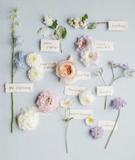 Bridal Shower Elegant, Pastel Wedding Theme, Wedding Theme Color Schemes, Pastel Wedding Flowers, Pastel Bouquet, Elegant Bridal Shower, Spring Wedding Colors, Spring Wedding Flowers, Golf 2