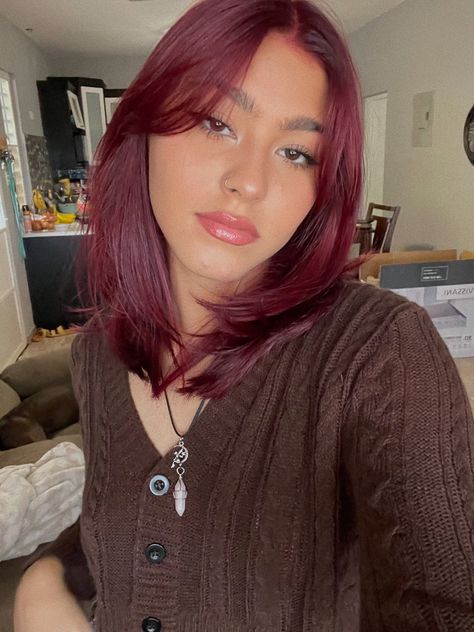 Red Hair Shoulder Length Straight, Burgundy Hair On Short Hair, Cherry Red Hair Straight, Burgundy Red Short Hair, Burgundy Hair Without Bleach, Mid Length Dark Red Hair, Short Red Hair Curtain Bangs, Cherry Red Hair Medium Length, Short Burgundy Hair With Bangs