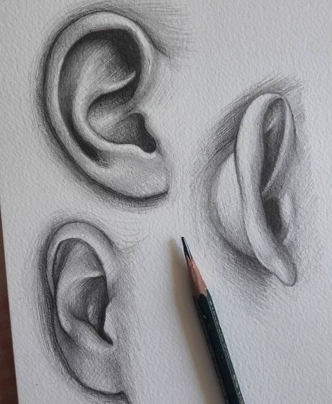 Ear drawing Ear Drawing, Beautiful Pencil Drawings, Desen Realist, Výtvarné Reference, Drawing Eyes, Siluete Umane, Drawing Faces, 인물 드로잉, Digital Painting Tutorials