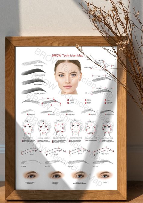 Digital Eyebrows Technician Guide Sheet / for Microblading / Henna / Ombre Eyebrows - Etsy Australia High Arch Eyebrows, Microblading Eyebrows Training, Eyebrow Guide, Henna Eyebrows, Ombre Eyebrows, Brows Microblading, Best Eyebrow Makeup, Brow Care, Arched Eyebrows