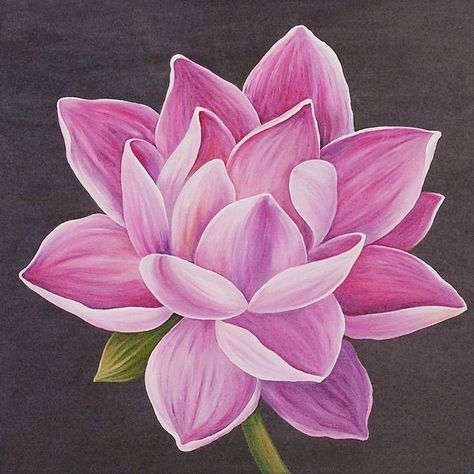 Doodles Sharpie, Flower Painting Videos, Botanic Painting, Lotus Flower Drawing, Lotus Flower Painting, Pink Flower Painting, Lotus Flower Art, Lotus Painting, Carpe Koi