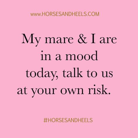 I'm feeling cranky... Mare Quotes, Equestrian Memes, Horse Sayings, Cowgirl Things, Equine Quotes, Funny Horse Memes, Horse Humor, Barrel Racing Quotes, Horse Girl Problems