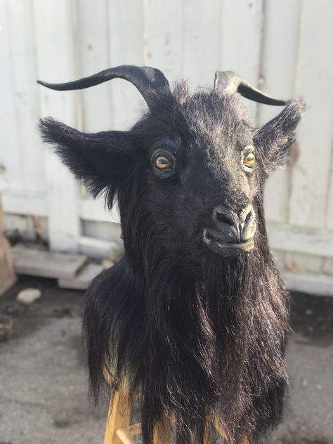 Goat Mask, Realistic Costumes, Crow Mask, Black Phillip, Vegan Halloween, Goat Horns, Animal Mask, Feather Mask, Mask Art