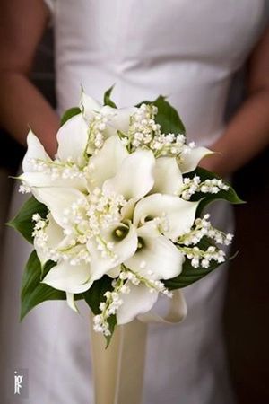 Lily Of The Valley Wedding Bouquet, Lily Of The Valley Wedding, Lily Bridal Bouquet, Bouquets Ideas, Simple Wedding Bouquets, Calla Lily Bridal, Calla Lily Wedding, Spring Wedding Bouquets, Calla Lily Bouquet