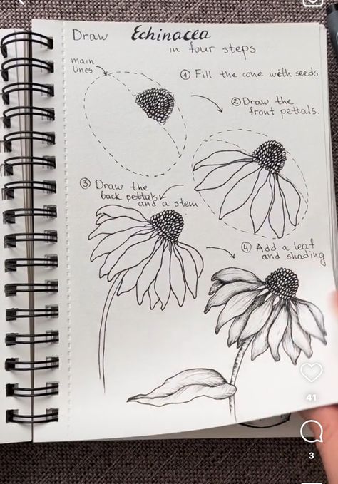 Modern Floral Drawing, Drawing Botanicals Tutorial, Flower Garden Doodle, Botanical Pencil Drawings, Big Flower Drawing, How To Draw Flowers Step By Step, Easy Flower Drawings, Doodle Art Flowers, Easy Drawings For Beginners