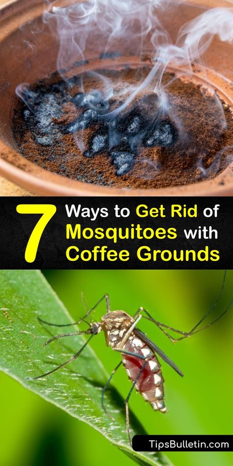 After being ground, coffee bean residue is a perfect mosquito repellent to repel mosquito pests. Fresh or burnt coffee grounds repel mosquitoes due to their pungent aroma. Add them to water, sprinkle them around, or burn them for mosquito control. #coffee #grounds #mosquitoes #getridof Pest Repellent Diy, What Kills Mosquitos, Best Mosquito Repellent For Yard, Mosquitoes Repellent For Yard, Diy Outdoor Mosquito Repellent, Indoor Mosquito Repellent Diy, Home Remedy For Mosquito Repellent, Natural Mosquito Repellant For Home, Plants That Ward Off Mosquitos