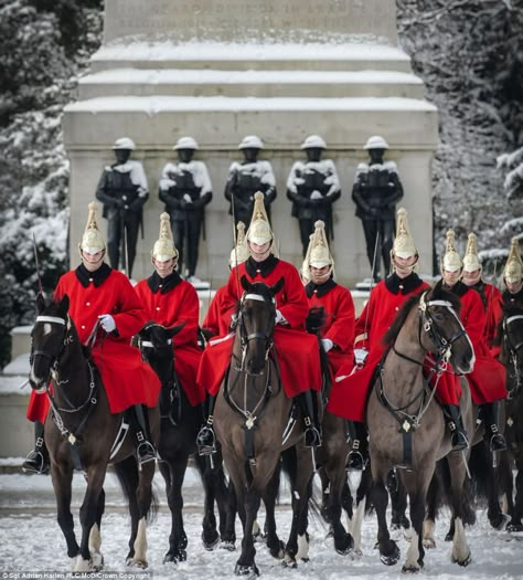 Jamie Peters, Army's Combat Camera Team photographer captures unseen world British Guard, Royal Horse Guards, Queens Guard, Horse Guards Parade, Horse Guards, London Baby, Royal Guard, British Monarchy, England And Scotland