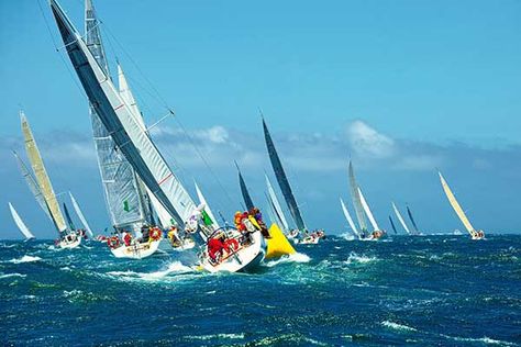 What to do in Cornwall? Sailing Regatta, Sport Yacht, Sailing Yachts, Photo Mural, Seascape Art, Epson Printer, Sail Boat, Sailing Yacht, Sports Photos