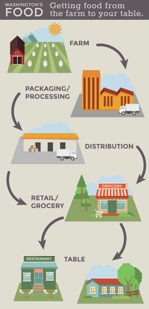 Where does our food come from? Visual supply chain | Washington Grown Where Does My Food Come From Activities, Where Does Our Food Come From Activities, Where Does Food Come From Preschool, Where Does Food Come From Activities, Food Waste Project, Food Supply Chain, Food Lessons, Farm Lessons, Summer Camp Themes