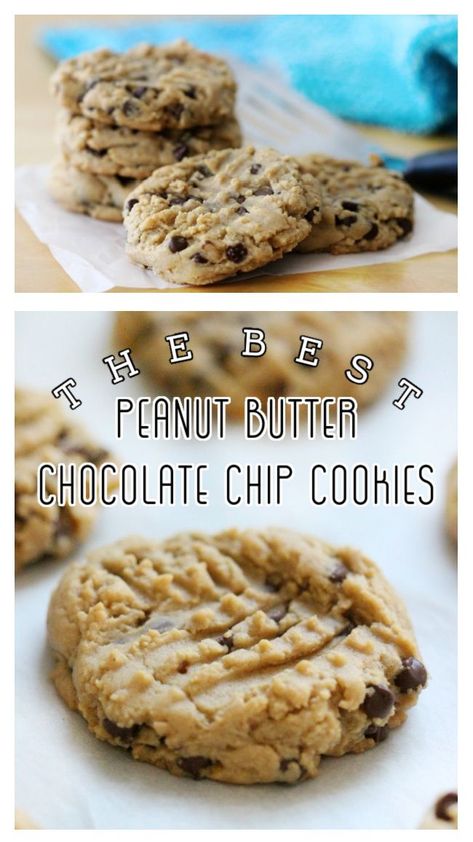 Moist Peanut Butter Chocolate Chip Cookies, Peanut Butter Choc Chip Cookies, Peanut Butter Chocolate Chip Cookie Recipe, Chocolate Chip Peanut Butter Cookies, Crunchy Peanut Butter Chocolate Chip Cookies, Double Peanut Butter Chocolate Chip Cookies, Iced Oatmeal Cookies, Chocolate Chip Cookies Ingredients, Cookie Bakery