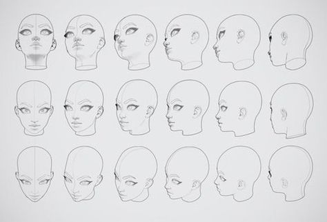 Character Anatomy | Head Handmade Brushes, Characters References, Head Angles, Face Angles, Drawing Heads, Face Drawing Reference, 얼굴 그리기, Female Head, Sketches Tutorial