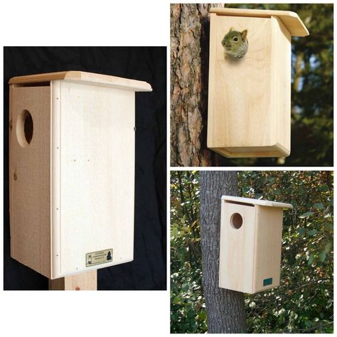 Squirrel House Diy How To Build, Squirrel House Plans, Nesting Boxes Diy, Squirrel Nest, Squirrel Feeder Diy, Squirrel House, Squirrel Home, Whirligigs Patterns, Squirrel Feeder