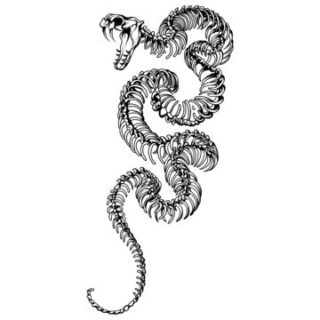 Snake Line Art Tattoo Monochrome, Snake Drawing, Snake Sketch, Snake Tattoo PNG and Vector with Transparent Background for Free Download Viper Snake Tattoo Design, Hooded Reaper Tattoo, Creepy Snake Tattoo, Boa Constrictor Tattoo, Boa Snake Tattoo, Snake Skeleton Drawing, Basilisk Tattoo, Viper Drawing, Skeletal Tattoo