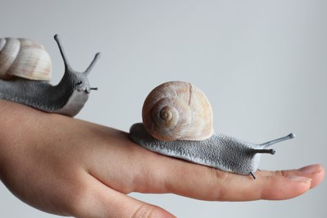 Ceramic Snail Pottery, Large Polymer Clay Sculptures, Clay Snails Sculpture, Air Dry Clay Snail, Snail Shell Crafts, Snail Pottery, Pottery Snail, Snail Clay, Clay Snails