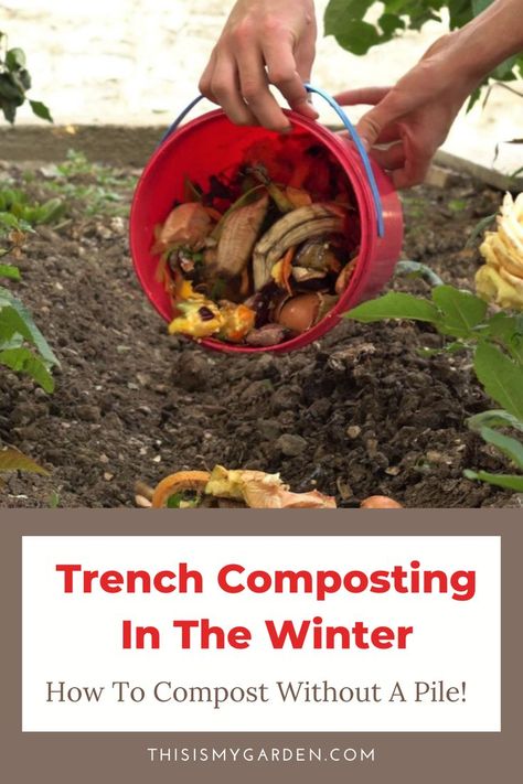 You don't really need to have a huge compost pile in order to create amazing black gold for your garden! Trench composting is the practice of burying compostable materials directly into the soil - No pile needed! Find out how in this in-depth article. Composting Methods, Compost Pile, Vegetable Scraps, Kitchen Scraps, Garden Compost, Pepper Plants, Composting, Organic Matter, The Soil