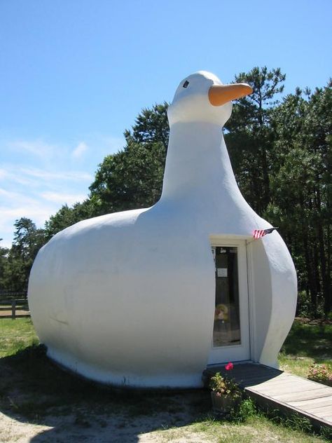 Big Duck  A former poultry store that looks like a giant duck and is one of the "seven wonders" of Long Island Giant Things, Big Duck, Crazy Houses, Hampton Bays, Unusual Buildings, Unusual Homes, Interesting Buildings, Unique Buildings, Structure Architecture