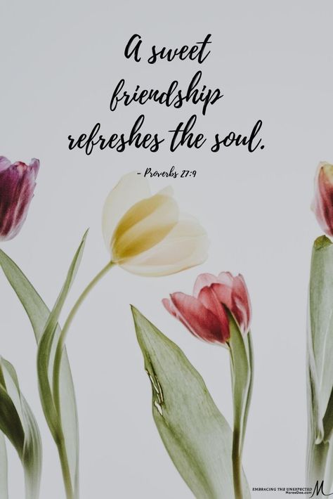 The heartfelt counsel of a friend is as sweet as perfume and incense.  (Proverbs‬ ‭27:9)  PRAYER 🙏🏼  GOD thankYou! Today and everyday we ask that You surround us with people who are able to give us godly counsel and encourage our walks with You—and make us to be people who are willing to take heed and be open to Your guidance from them-in Jesus’ name we pray Amen! Annie Spratt, Christian Friendship, Friends For Life, Faith Encouragement, Hope Quotes, Prayer Scriptures, Soul Sisters, Faith Inspiration, Walk By Faith