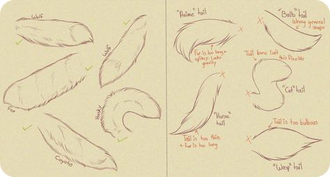 Leg Tutorial, Tail Tutorial, Wolf Tail, Anatomy Lessons, Cartoon Artist, Animal Tails, Animal Reference, Draw Animals, Fur Texture