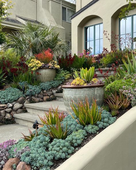 Succulent Garden Outdoor, Cactus Garden Landscaping, Succulent Garden Ideas, Succulent Garden Landscape, Succulent Landscape Design, Drought Tolerant Garden, Succulent Garden Design, Succulent Landscaping, Rock Garden Design