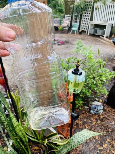 DIY Tiki Torch Fuel Using Vegetable Oil & Bug-Repelling Essential Oils - House & Homestead Homemade Tiki Torch Fuel, Diy Tiki Torch Fuel, Tiki Torches Backyard, Diy Tiki Torch, Homemade Mosquito Repellent, Torches Diy, Essential Oil Bug Repellent, Repellent Diy, Diy Citronella