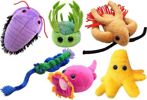 Giant Microbes Plush Gift Box Sets Giant Microbes, Under A Microscope, Handmade Plushies, Dinosaur Crafts, Sewing Stuffed Animals, Box Sets, Cute Stuffed Animals, Sewing Toys, Cute Plush