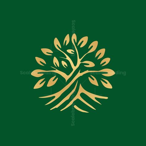 The concept of a tree logo with roots forming a circle with a unique and modern luxurious style. The logo is easy to remember and can be applied in various media. Oak Tree Logo, Tree Of Life Logo, Mother Tree, Dc Oc, Lion Flower, Roots Logo, Logo Moodboard, Youth Logo, Tree Logo Design